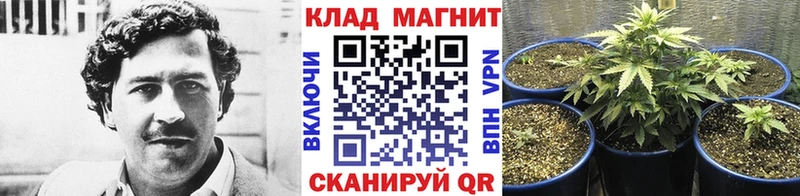 Купить наркотик аптеки Волгореченск АМФЕТАМИН  Марихуана  МЕТАМФЕТАМИН  Гашиш  Галлюциногенные грибы  КОКАИН  Меф 