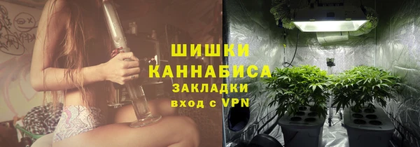 стаф Бородино