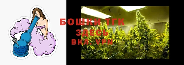 СК Болотное