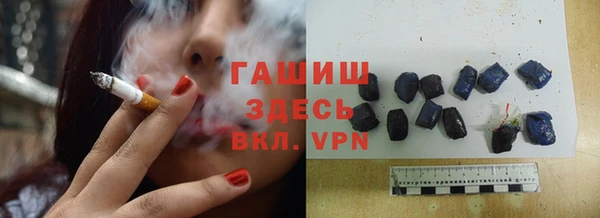 стаф Бородино