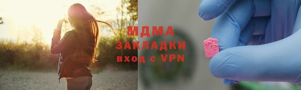 стаф Бородино