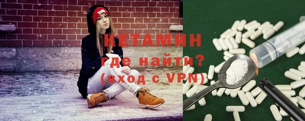 стаф Бородино