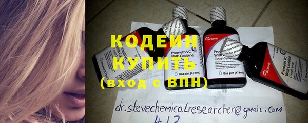 стаф Бородино