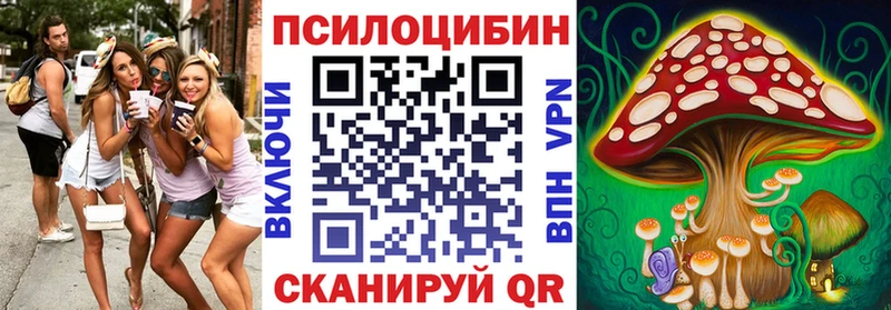где купить наркоту OMG маркетплейс Галлюциногенные грибы Cubensis Волгореченск
